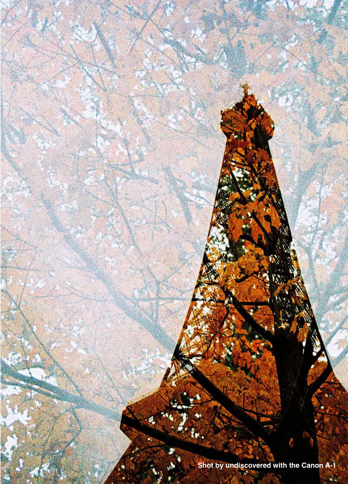 Canon A-1 - Image 4
