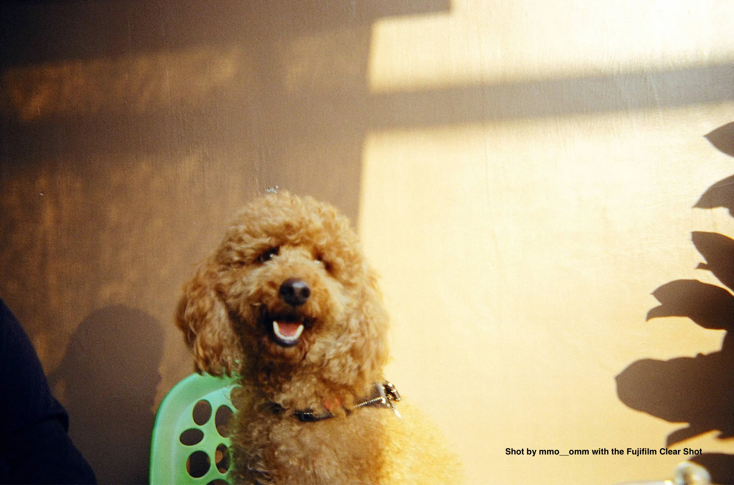 Fujifilm Clear Shot Plus - Image 4