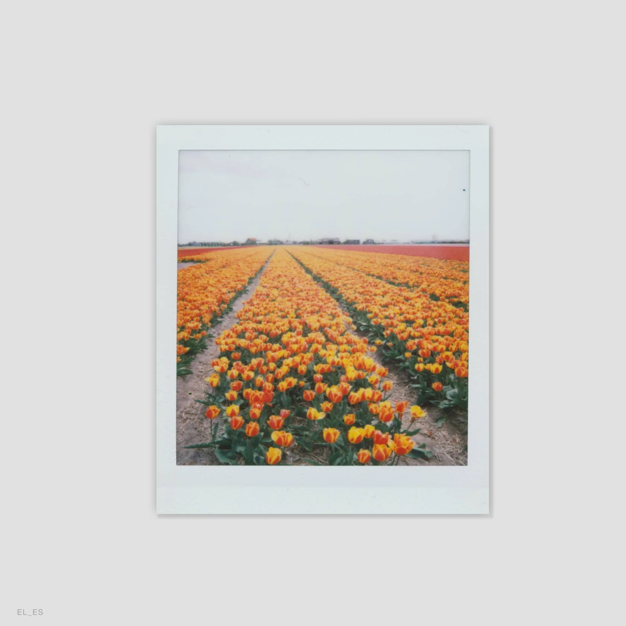 Instax Square - Image 2