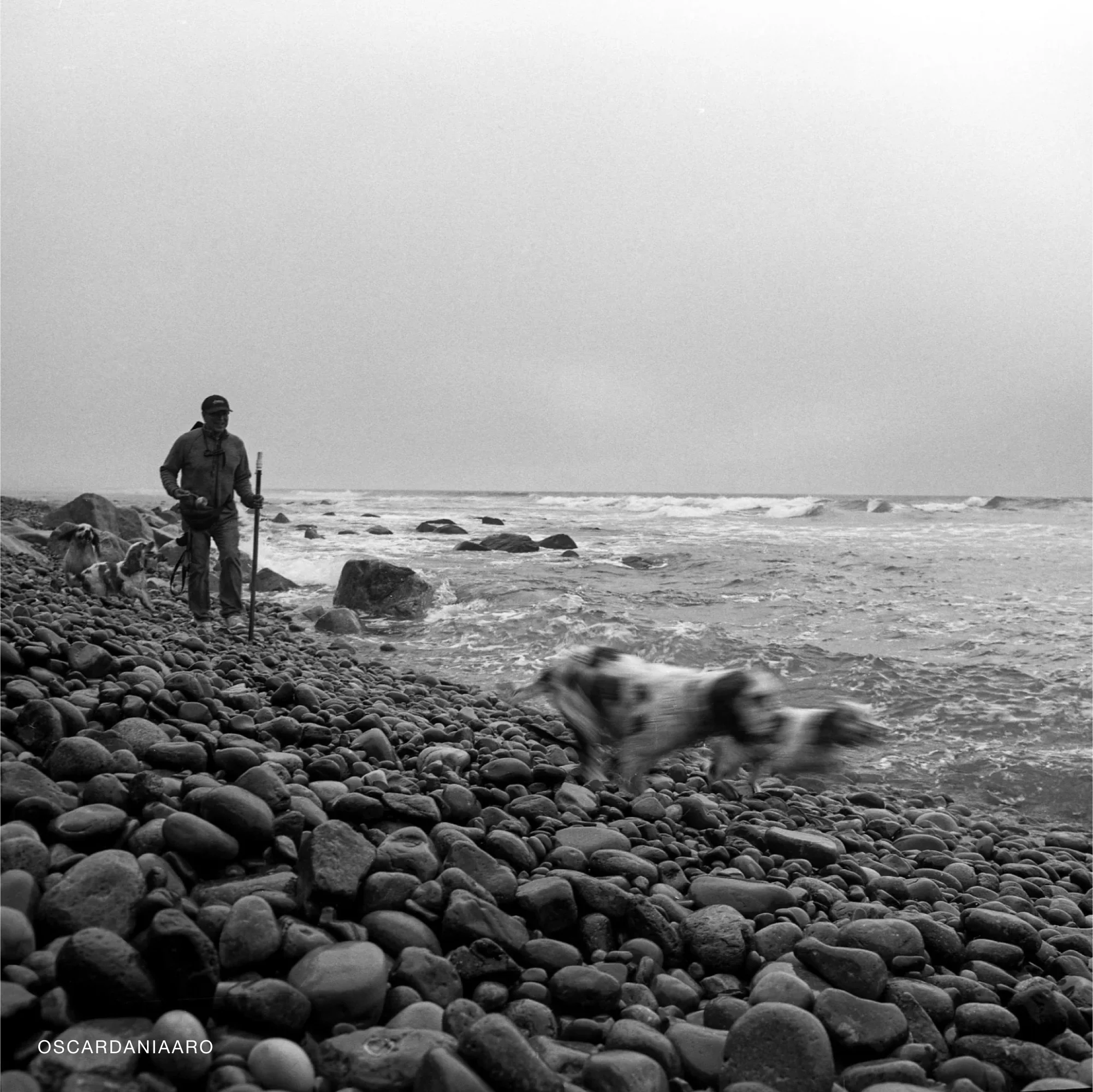 Kodak TMax 100 120mm - Image 3