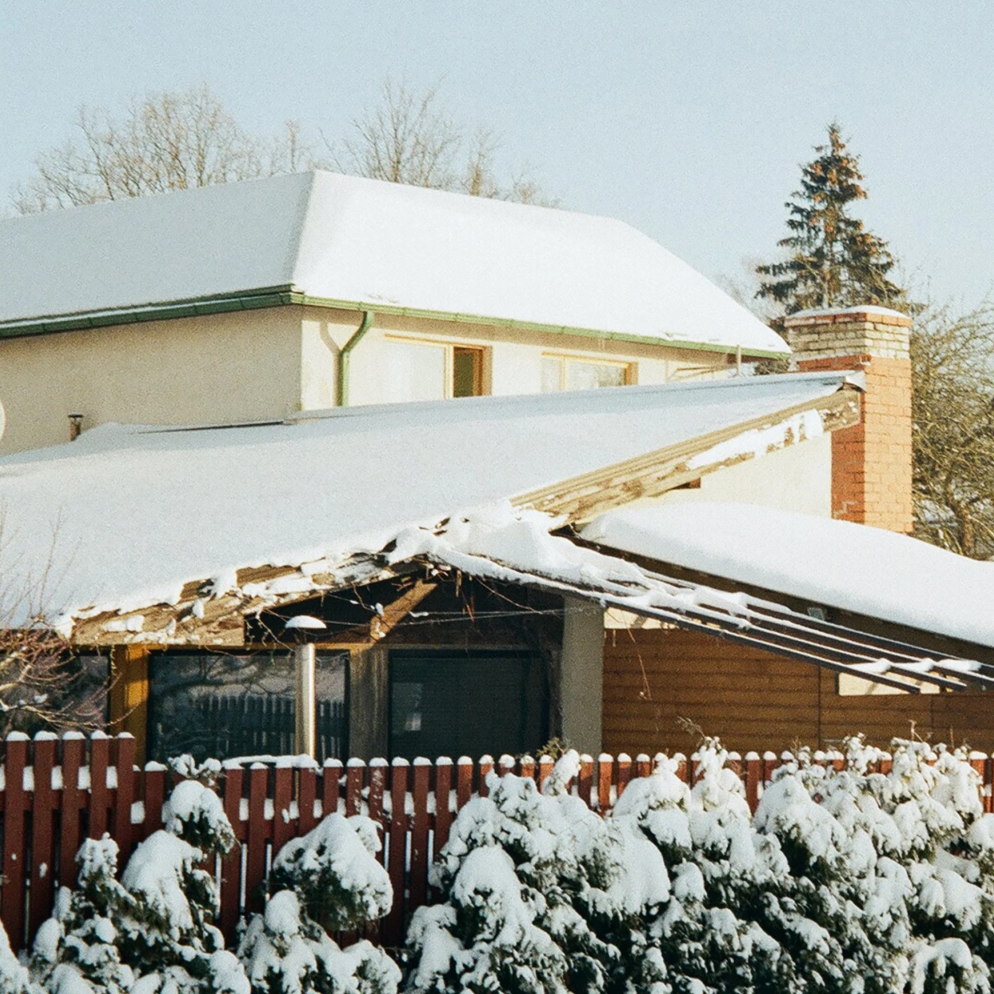 Kodak ColorPlus 200 - Image 4