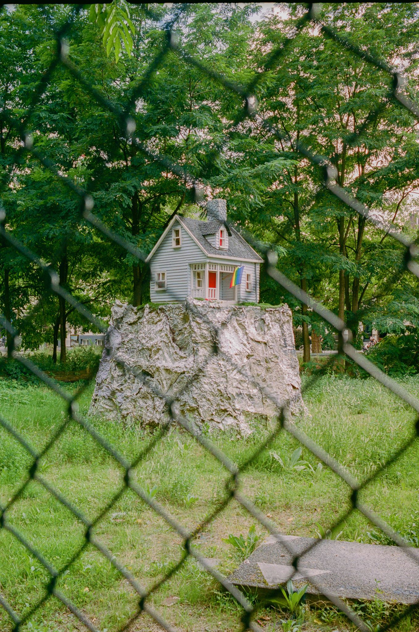 Konica Hexar - Image 5