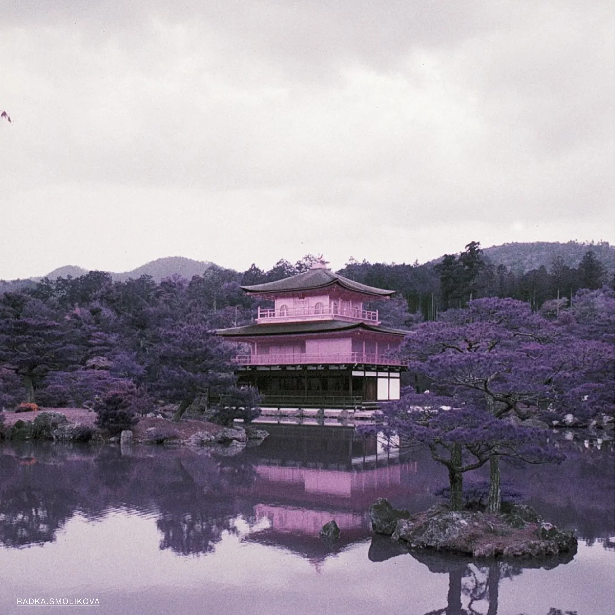 LomoChrome Purple Pétillant - Image 3