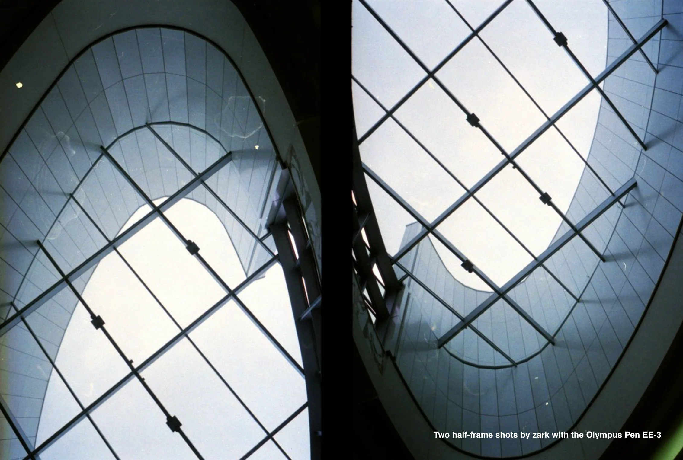Olympus Pen EE-3 - Image 5
