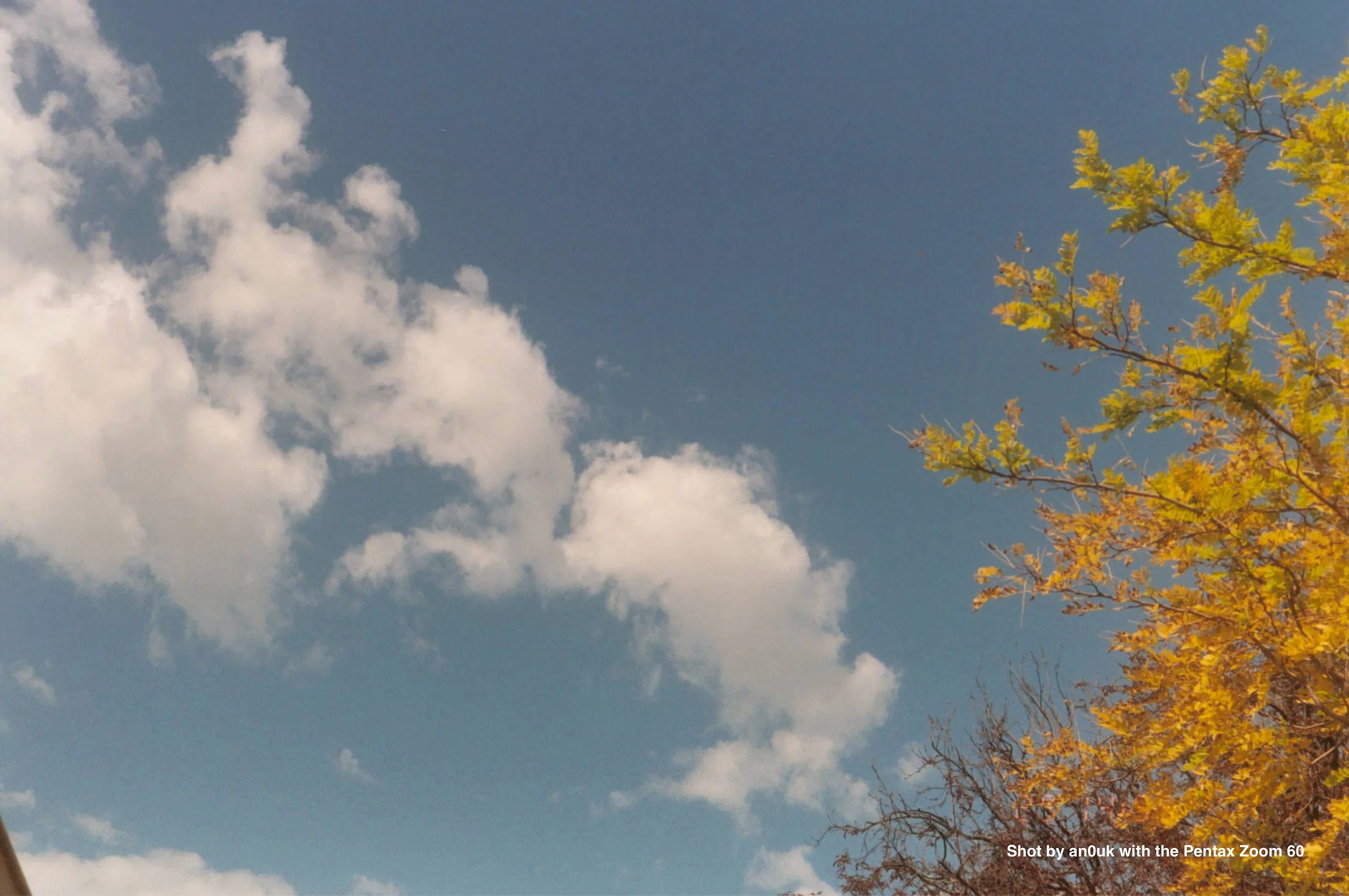 Pentax Zoom 60 - Image 4