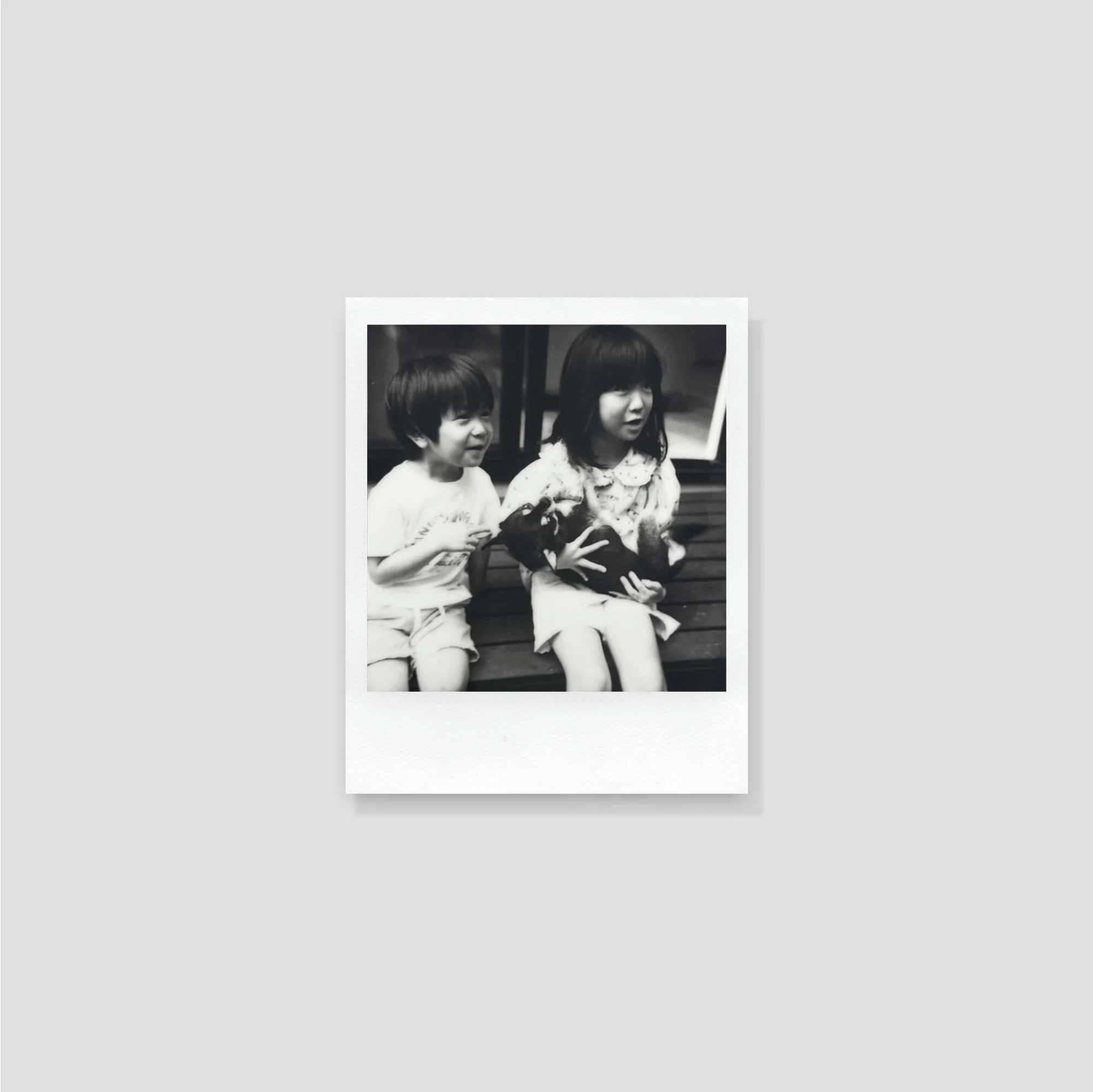 Polaroid I-2 - Image 6